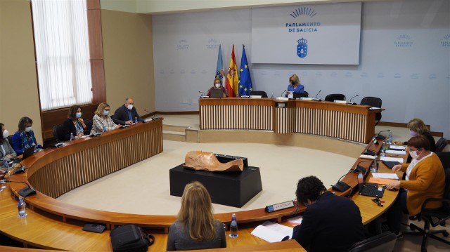 Acordos da Comisión 5ª, Sanidade, Política Social e Emprego, celebrada o 29 de abril de 2021